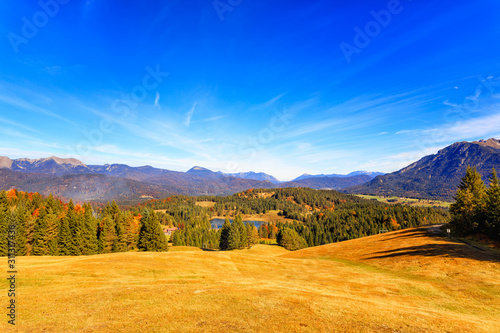 Golden Autumn photo