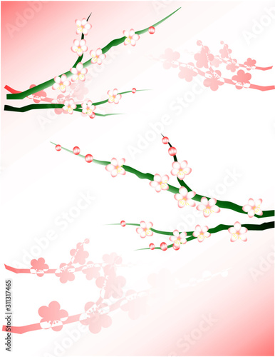 梅の花、うめ、桃の花、花見、風景