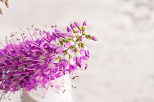 Fresh Lavender flower background