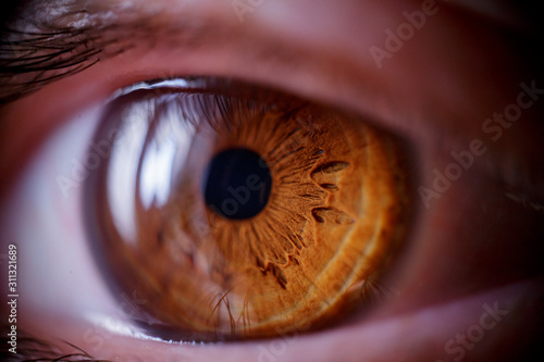 Macro shot of the human eye. Brown eyes near. Soft focus. The reflection of the window in the human eye