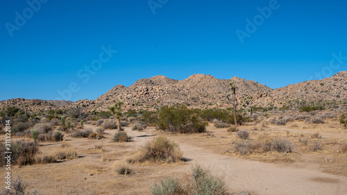 View in the desert of Joshua tree, california