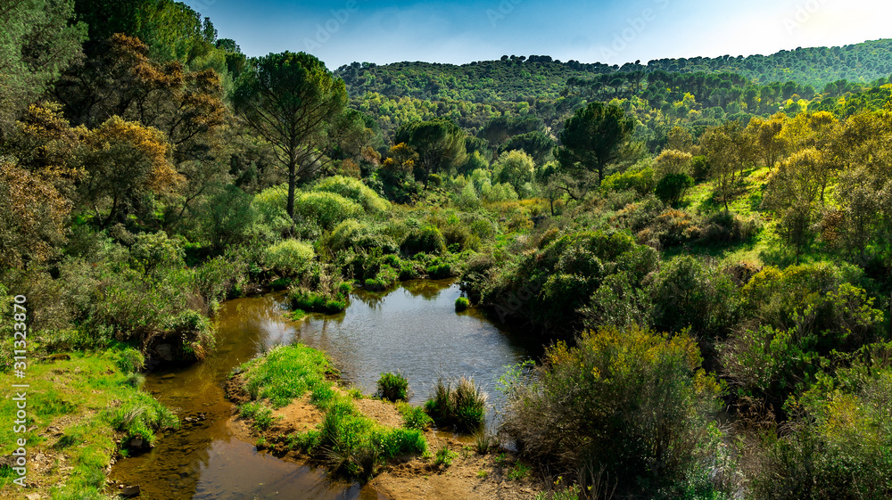 rio cristalino transcurre por el valle