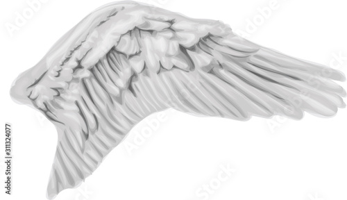 Swan Wing - vector illustration