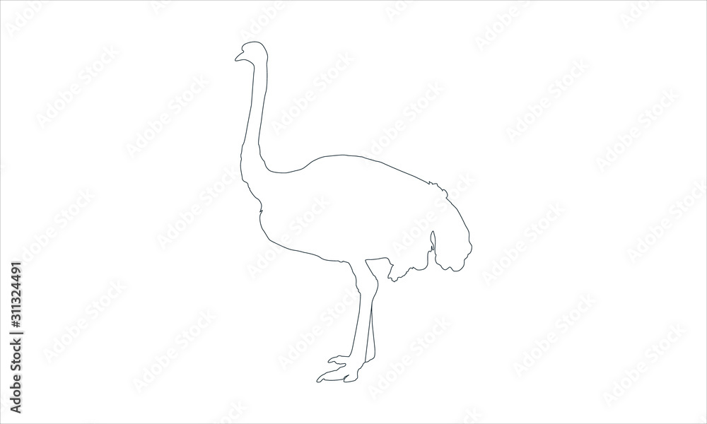 Naklejka premium Ostrich icon for wildlife and animal illustrations