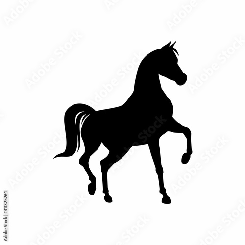 Horse black silhouette. Equestrian vector illustration.