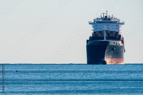 orca killer whale in mediterranean sea near big ship coming from Iceland