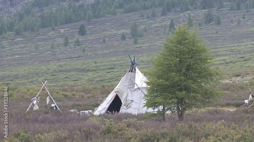 Mongolia, Darkhat basin. Settlement of reindeer herders. Deer. photo