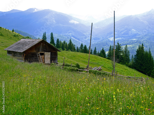 Household (Farmer barn) high on the meadow in green mountains. Picturesque summer mountain landscape with Spruce forest in the Eastern Carpathians. An old gutsul wooden architecture in highlands photo