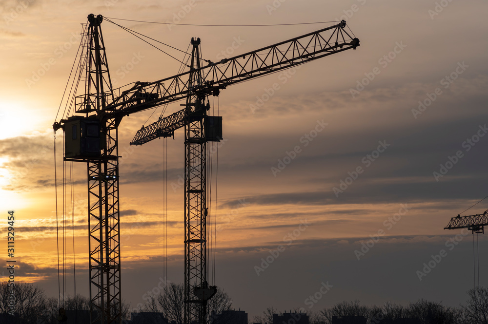 Silhouettes of cranes against the background of dawn Silhouettes of cranes against the background of dawn