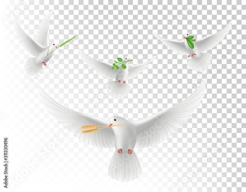 Realistic pigeons with branches. White flying doves isolated vector set. Illustration realistic pigeon with green branch