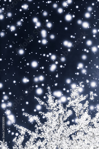 Canvas Print Christmas, New Years black floral background, holiday card design, flower tree a