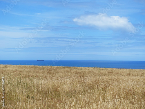 Background texture of dry yellow grass field/golden meadows against pure blue ocean with cargo ship in distance in a sunny summer day. Portland, VIC Australia. Copy space for text.