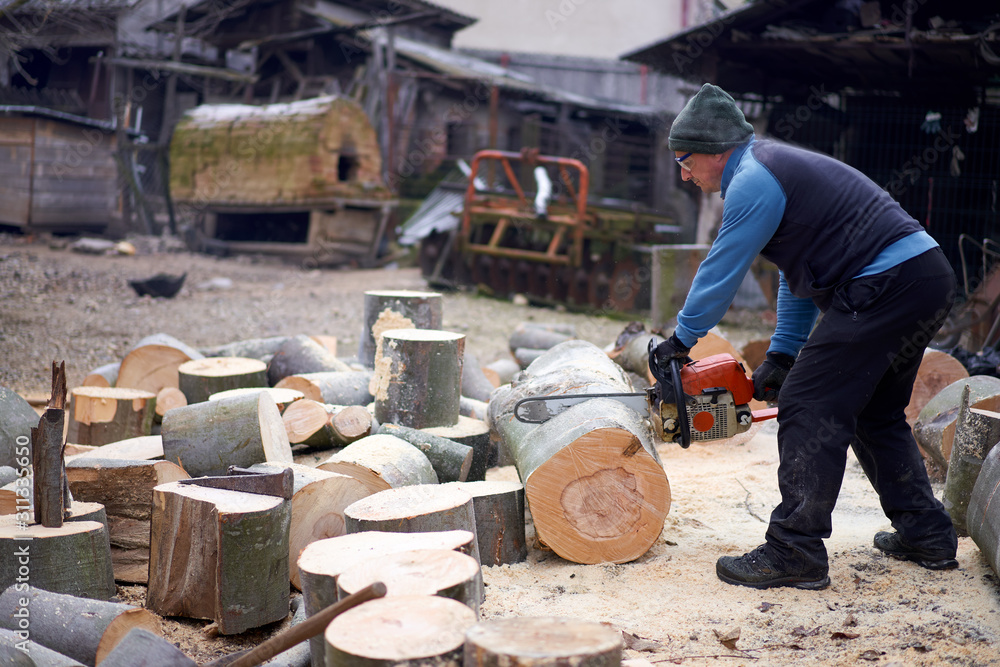Lumberjack with chainsaw at work