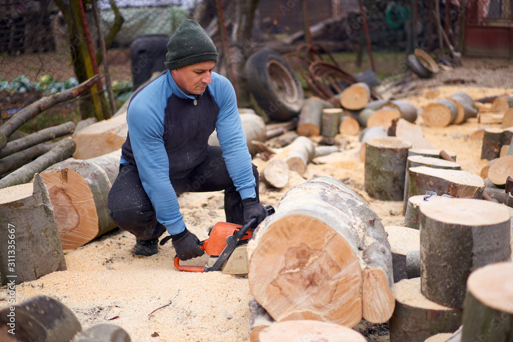 Lumberjack with chainsaw at work Lumberjack with chainsaw at work