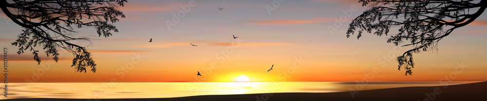Fototapeta premium pine tree branches in front of sea sunset and flying gulls