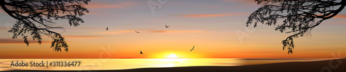 pine tree branches in front of sea sunset and flying gulls