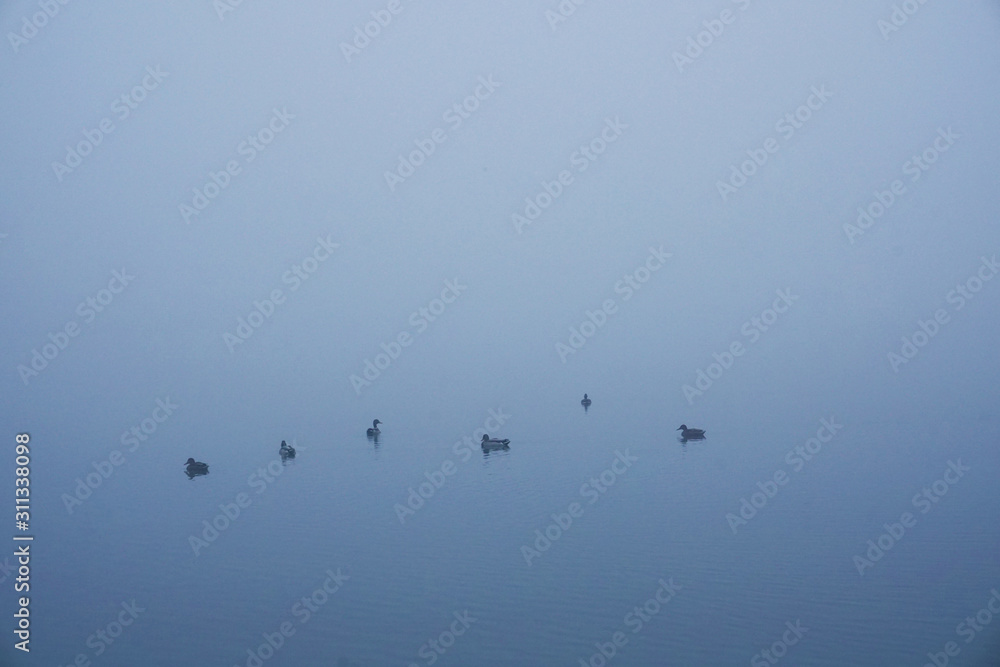 Boat on the lake at morning fog. Foggy autumn