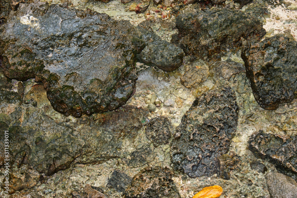 Texture of wet rocks on the seabed at low tide. Texture of wet rocks on the seabed at low tide.