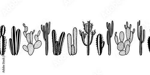 Hand drawn cactus pattern