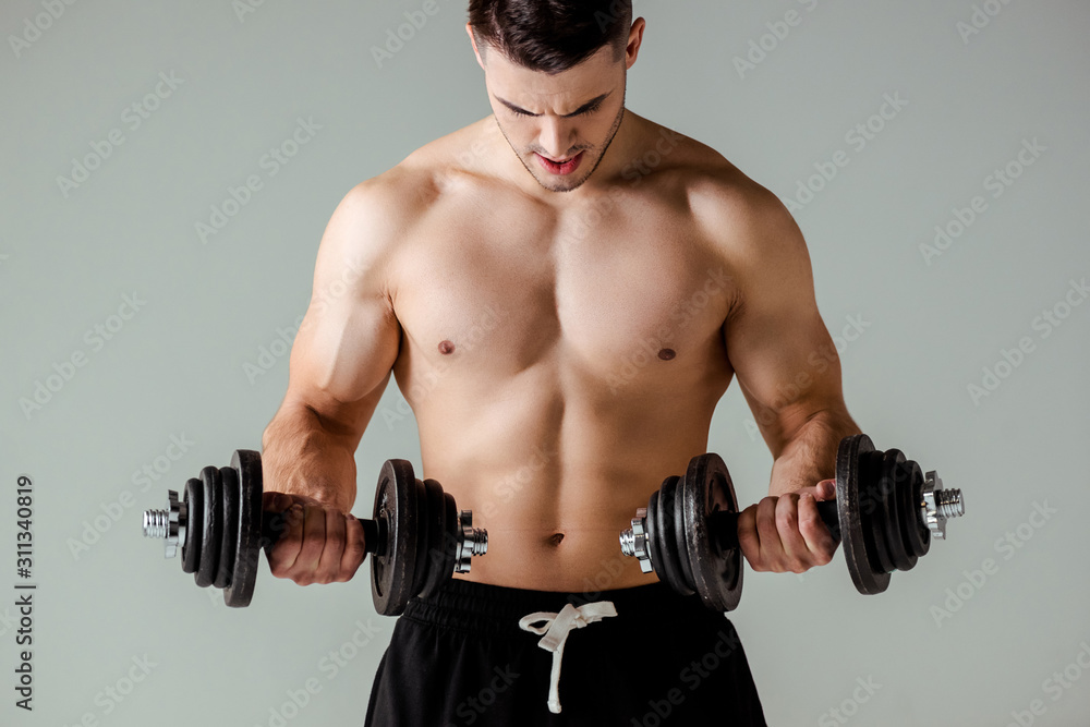 sexy muscular bodybuilder with bare torso exercising with dumbbells isolated on grey