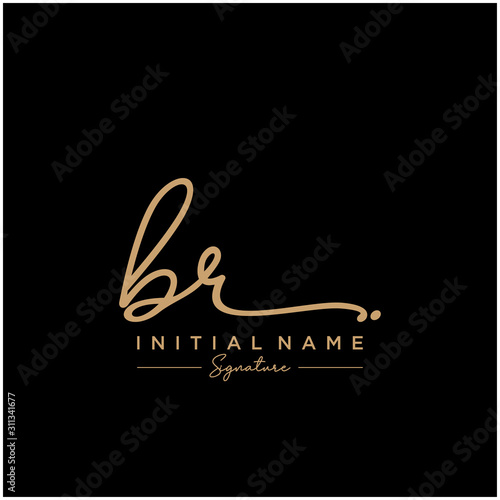Letter BR Signature Logo Template Vector