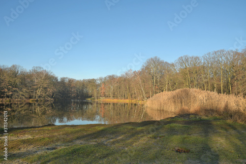 volkspark jungfernheide photo