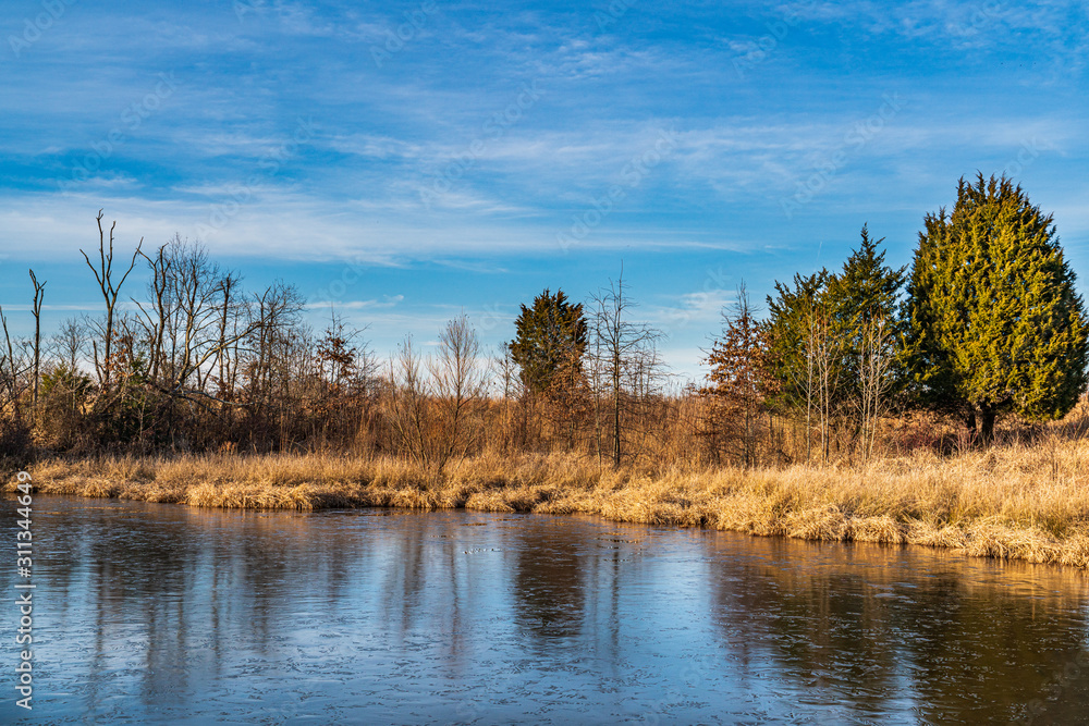 landscape with lake and trees landscape with lake and trees