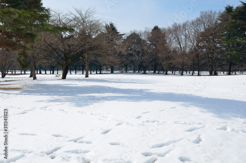 雪景色