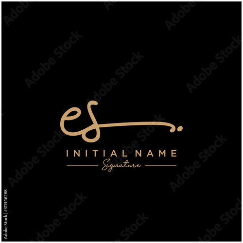 Letter ES Signature Logo Template Vector