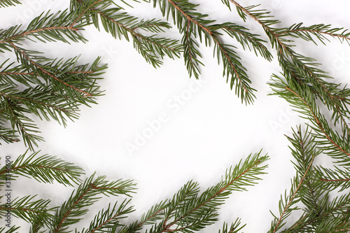 green spruce branches with white spears inside. background for winter wishes