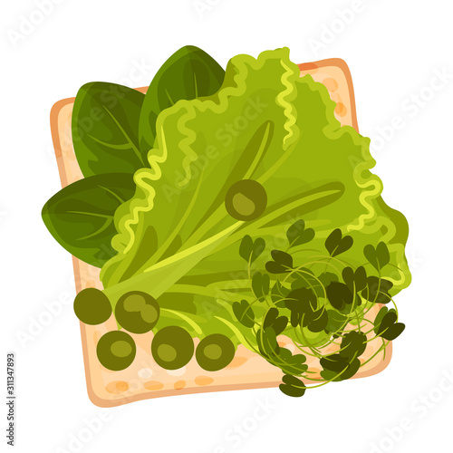 Roasted Multigrain Bread with Lettuce and Spinach Vector Illustration