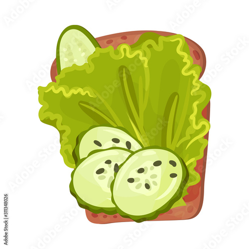 Roasted Multigrain Bread with Lettuce Leaf and Cucumber Vector Illustration