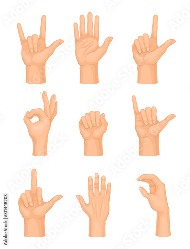 Hands Making Different Gestures and Signs Isolated on White Background Vector Set