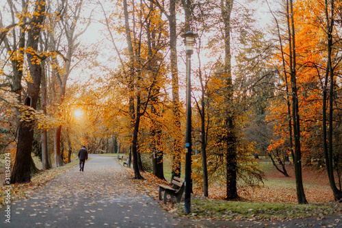 Patch in Park at Autumn Sunset