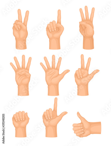 Hands Making Different Gestures and Signs Isolated on White Background Vector Set