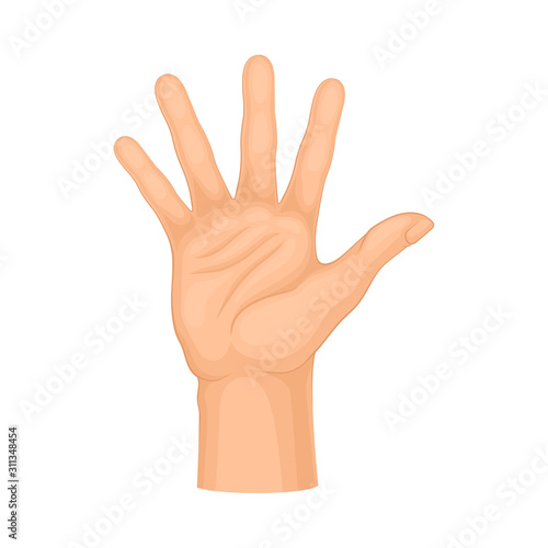Detailed Palm Hand Gesture Vector Isolated on White Background Element