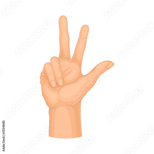 Detailed Hand Making Peace Gesture Vector Isolated on White Background Element