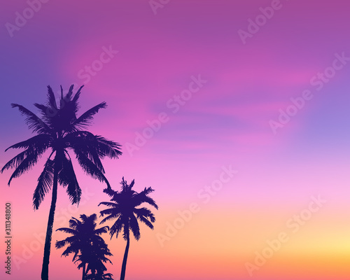 Dark palm trees silhouettes on light pink sunrise sky background, vector illustration