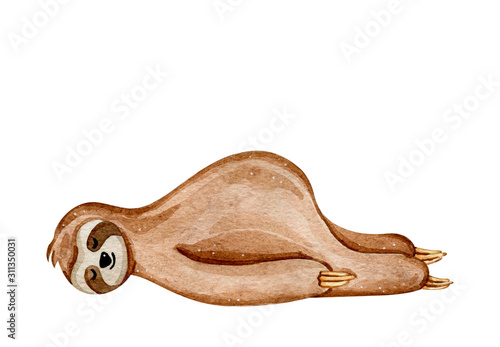 Watercolor hand drawn cute sleeping sloth isolated on white background