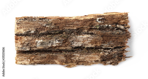 Tree bark isolated on white background, top view