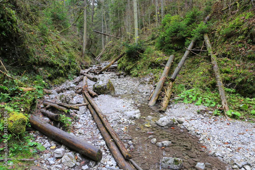 Fototapeta premium mountain gorge Slovensky raj in Slovakia