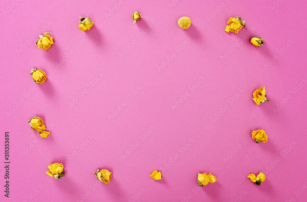 Flowers composition. Frame made of yellow rose flowers on pink background. Flat lay, top view, copy space Flowers composition. Frame made of yellow rose flowers on pink background. Flat lay, top view, copy space