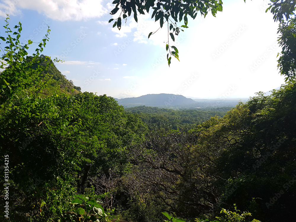 Obraz premium Landschaft Regenwald in Dambulla Sri Lanka mit Blick auf einen Berg und Wäldern