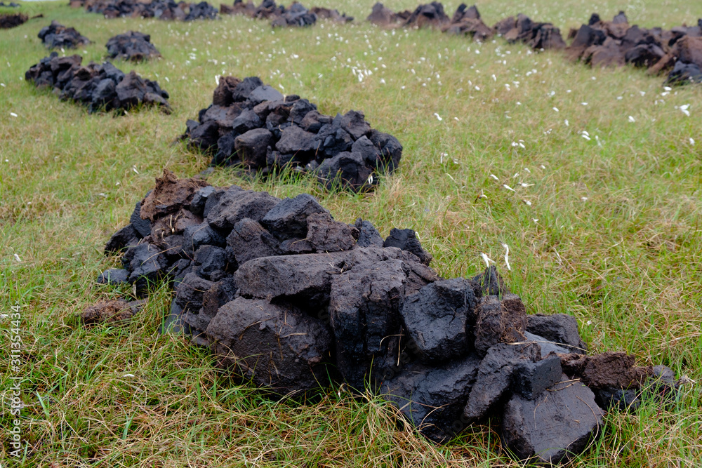 Freshly cut peat stacked to dry to be used a traditional fuel in Scotland Freshly cut peat stacked to dry to be used a traditional fuel in Scotland
