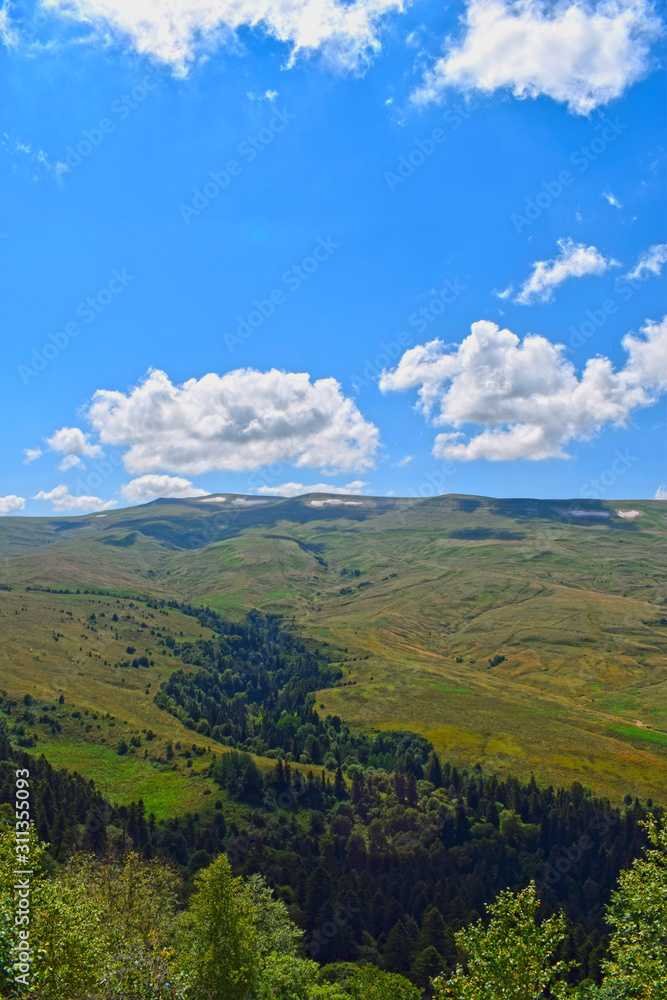 Beautiful hills, meadows and green pines. Blue sky and white clouds. Summer landscape, sunny day. Vertical photo. Plateau Lago-Naki, Adygea.