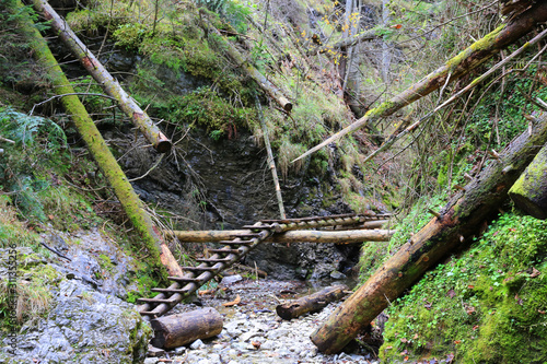 wooden stairs in mountain grove Slovensky Raj in Slovakia