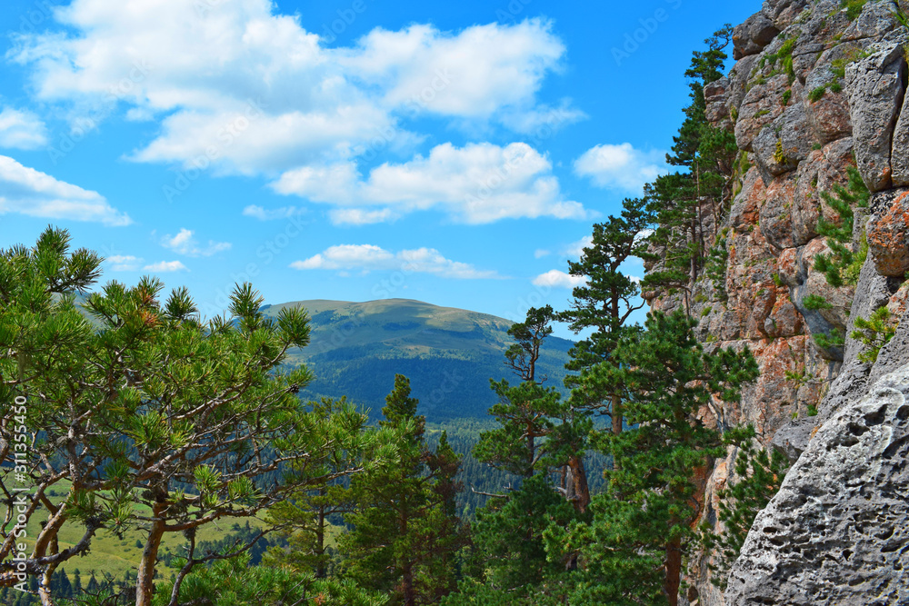 Picturesque mountains, meadows, green pines on the cliff side. Blue sky and white clouds. Summer landscape, sunny day. Horizontal photo. Lago-Naki Plateau, Adygea. Picturesque mountains, meadows, green pines on the cliff side. Blue sky and white clouds. Summer landscape, sunny day. Horizontal photo. Lago-Naki Plateau, Adygea.