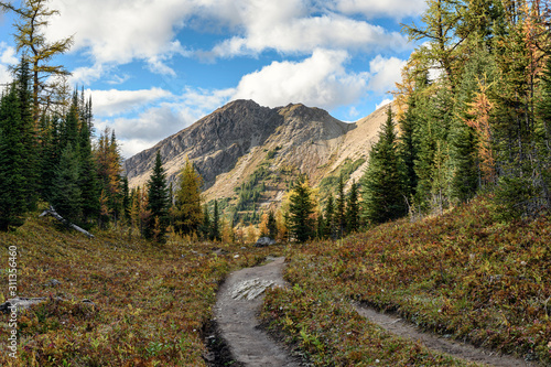 Hiking trail with rocky mountains in autumn forest at provincial park