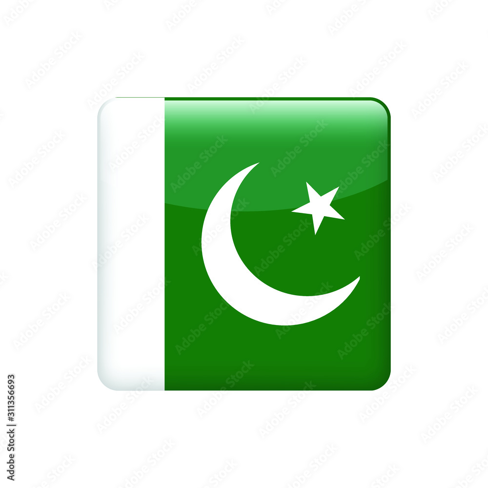 square Pakistan flag. Simple vector Pakistan flag square Pakistan flag. Simple vector Pakistan flag