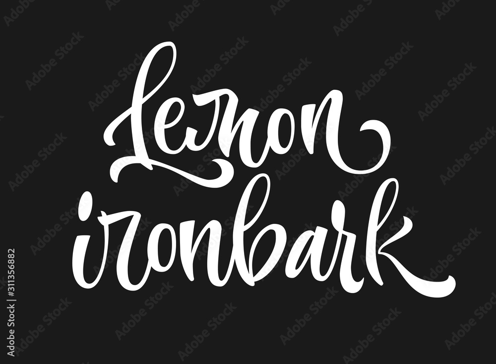 White colored hand drawn spice label - Lemon ironbark. Isolated calligraphy scrypt stile word. Vector lettering design element.